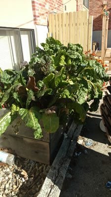 IMG_20151113_125657620